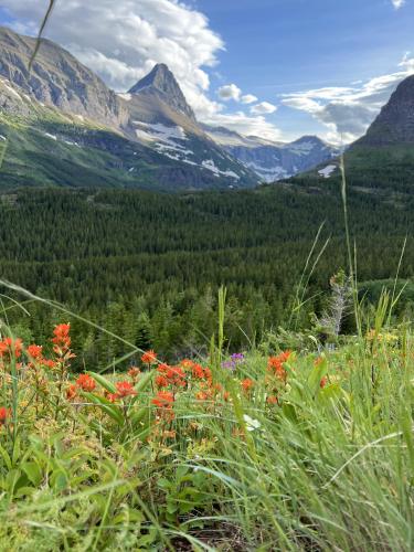 Many Glacier Valley