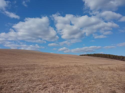 Next gen Windows XP