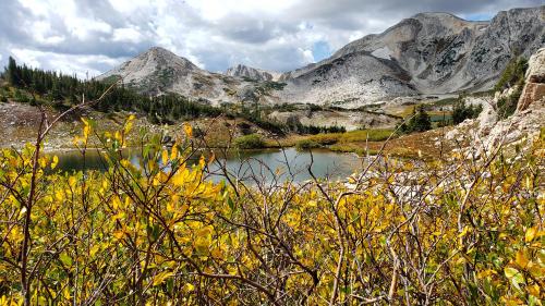 Some Wyoming love-- Medicine Bow-Routt National Forest