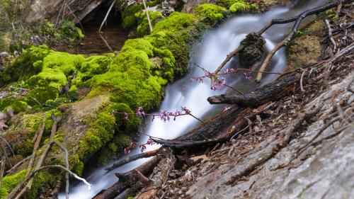 Gorman Falls at Colorado Bend State Park, Texas