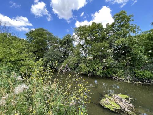 Nearby creek, Illinois