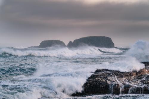 Sheep Island, Northern Ireland