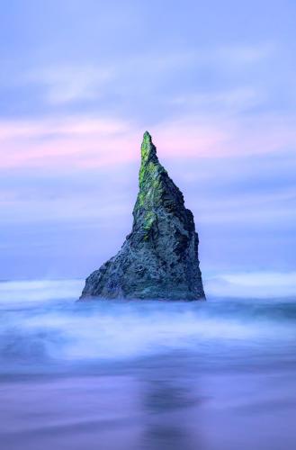 Sea Creature - Oregon Coast -   @tcrandall_photography