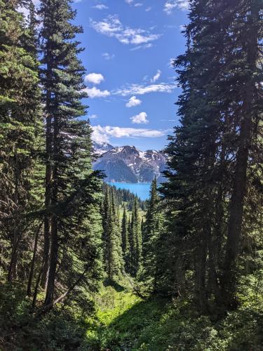 Panorama Ridge Trail, Vancouver, Canada