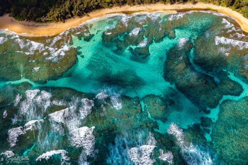 Can you imagine being a speck on this beach… part of one the most beautiful coastlines on earth? Napali coast, Kauai