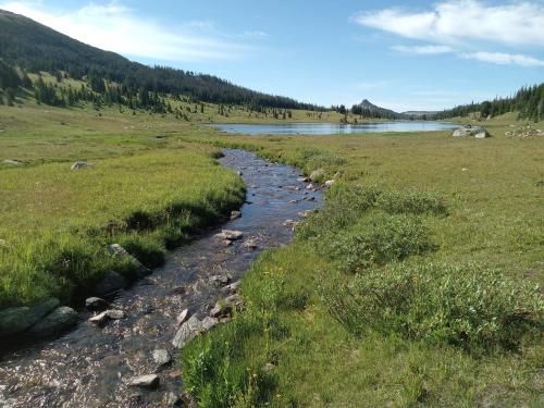 Losekamp Lake, Wyoming