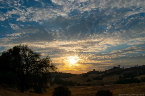 The Golden Foothills of Northern California