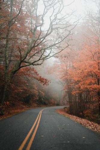 Late Autumn on the Blue Ridge Parkway, North Carolina