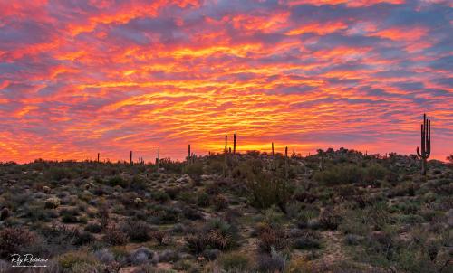Desert Sunrise Skies In North Scottsdale Arizona