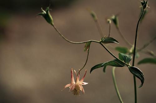 reaching