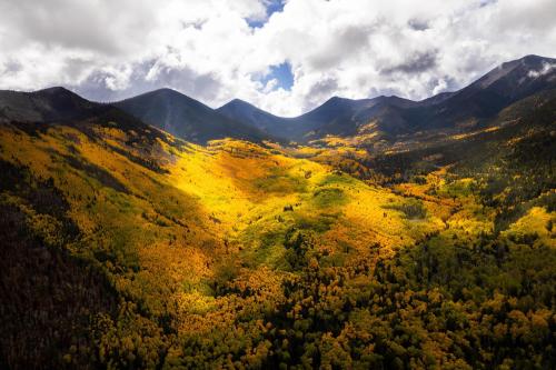 Probably best foliage in SW, Flagstaff, Arizona