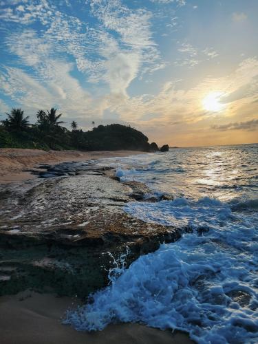 Puerto Rico Beach at Sunset 🌅