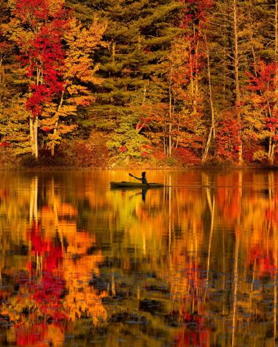 Autumn reflection in a lake somewhere in New Hampshire.