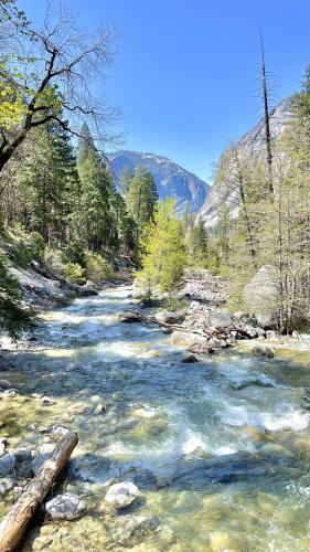 Tenaya Creek, Yosemite National Park