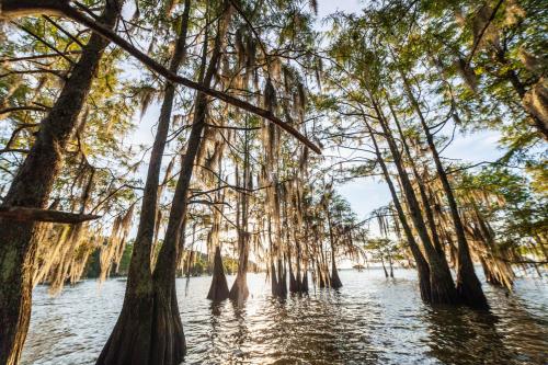 Sunrise on Lake Marion, South Carolina