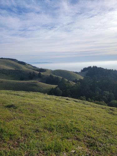 Bolinas-Fairfax Ridge, Marin County, CA