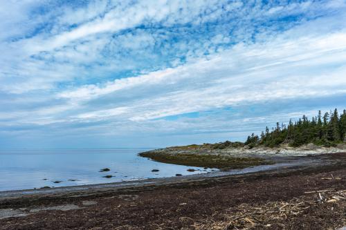 The stark marine landscape of Bic national park, Quebec