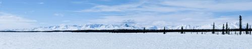 Denali Viewed from Broad Pass