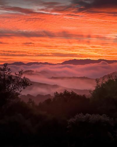 Sunrise from the Oakland Hills, CA.