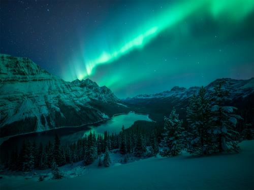 Lady Aurora dancing over the Canadian Rockies, Alberta, Canada