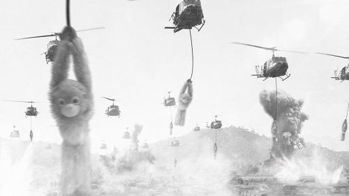 Apes being airdropped in over Vietnam 1967