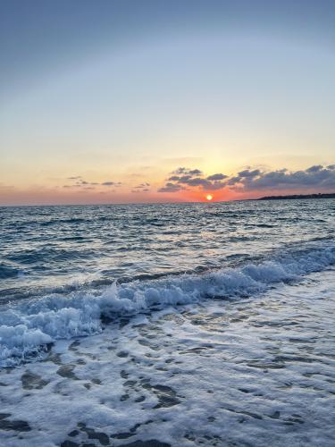 does the photo convey the noise of the waves and the rays of a warm sunset? Cyprus city paphos