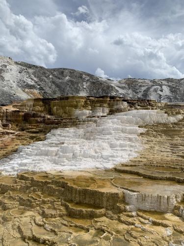 Mammoth Hot Spring, Wyoming