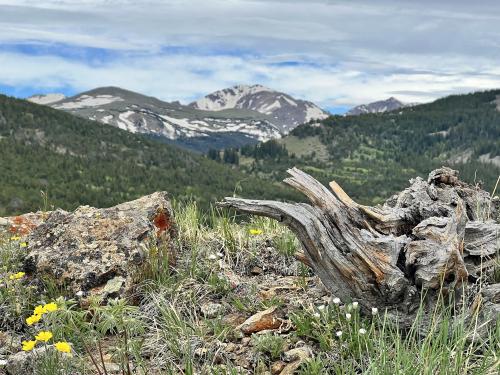 Indian Peaks Wilderness, Colorado