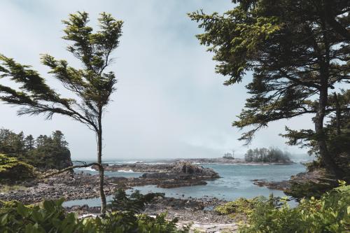 Mystic shores of Ucluelet, BC