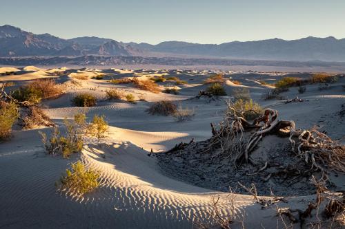 Mesquite Sand Dunes, Death Valley CA.