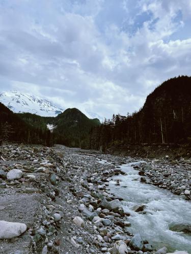 Mount Rainier National Park, Washington, USA