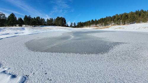 Frozen Arizona Pond. Flagstaff, Arizona.