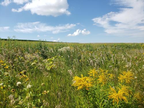 Entry to the Prairie on Prairie Enthusiast Property in Barneveld, WI.