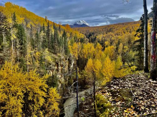 Gorge near Thunderbird Falls, AK