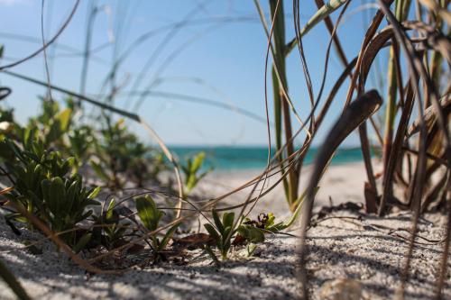 Boca Grande, FL