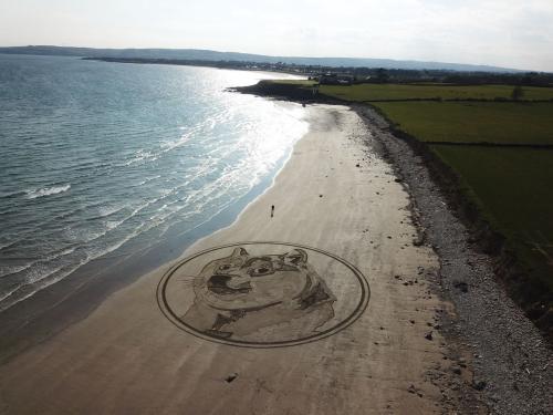 Epic Doge Art Created on a Beach in Ireland