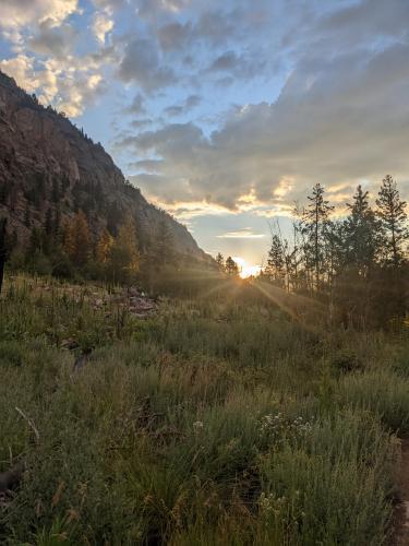 Rocky Mountain National Park Fern Trail Sunrise   Estes Park, CO