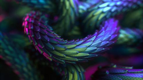 Rendered Scales