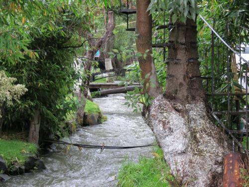 Creek relaxing sound, Atlimeyaya, Mexico