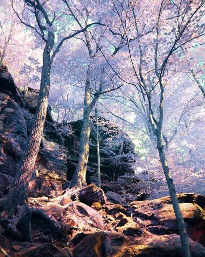 Majestic CVNP  - Cuyahoga Valley National Park