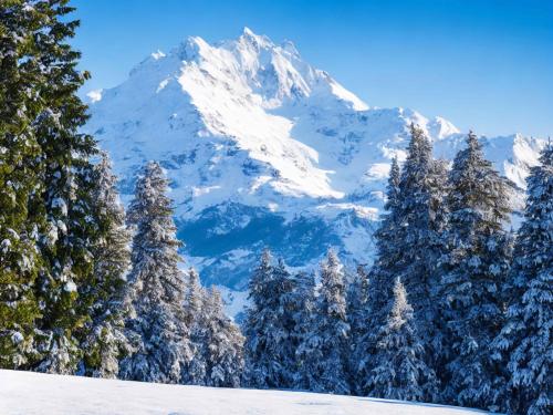 Fresh snow in Berchtesgaden, Germany.