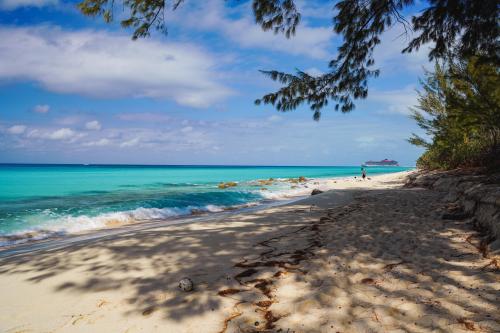 Bimini, Bahamas beach