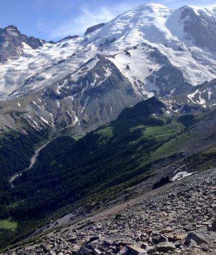 Feeling tiny in Mount Rainier National Park, WA