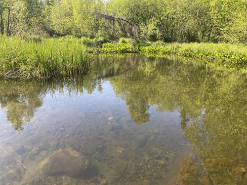 Cottonwood creek, Alaska