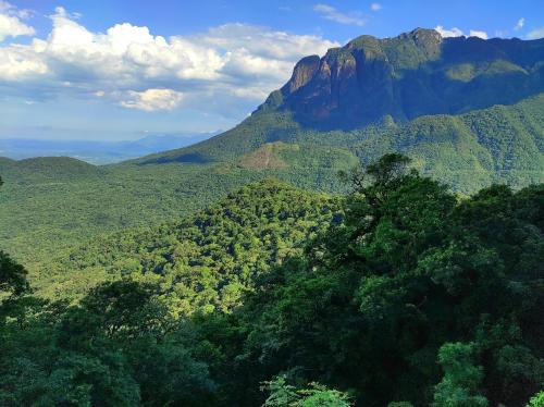 Guaricana National Park, Paraná, Brazil  -