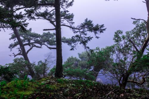 Just nature being amazing!! Shot in Bellingham Washington