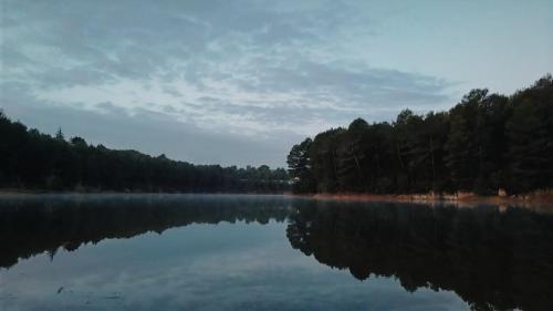 Reflection, Spain