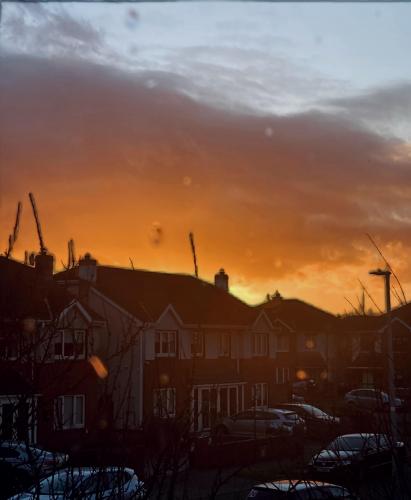 View from my window this evening