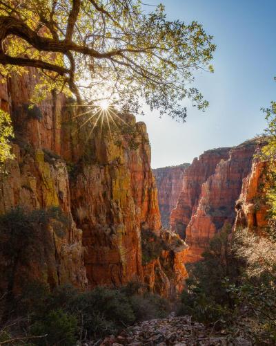 Unknown canyon, Arizona  @chileno_hikertron