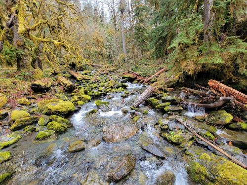 Olympic National Park, WA